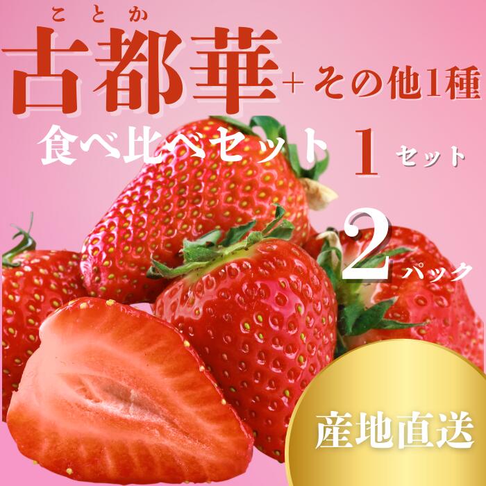 奈良のブランドいちご２種（古都華と他１種）食べくらべセット (他１種は、かおりの・珠姫・奈乃華・ならあかり・あすかルビーからいずれか) いちご 苺 イチゴ 奈良県認証 めいとく農園 奈良県 奈良市 奈良 なら 7-192