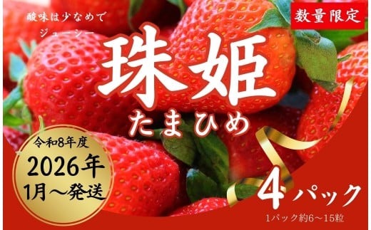 【数量限定】2026年予約販売開始 珠姫（たまひめ）×4パック 先行予約 早期終了予定あり いちご 苺 イチゴ ブランド 旬 産地 直送 フレッシュ 新鮮 いちご農家 めいとく農園 奈良県 奈良市 奈良 なら