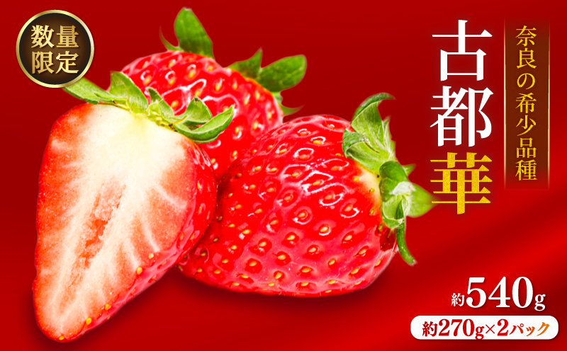 いちご ことか 約540g 約270g×2パック 古都華 先行予約 2027年発送 数量限定 選べる容量 産地直送 希少品種 旬 冷蔵 イチゴ 苺 itigo ichigo strawberry ストロベリー いちご 大粒 お取り寄せ 国産 フルーツ 果物 スイーツ 小分け ブランドいちご ふるさと納税いちご 甘い 完熟 おすすめ 贈答 プレゼント ギフト 奈良県 奈良市 のぼるちゃんファーム