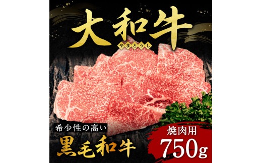 H-112 大和牛焼肉 750g　肉の河内屋