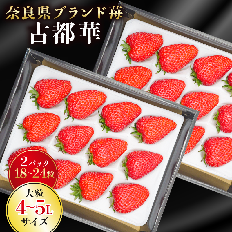 【 数量限定 予約販売 】 ブランド いちご 古都華 2P 宝石のような濃いルビー色 苺 イチゴ 大粒 4L～5L 2026年 1月 以降順次発送 1月 2月 3月 旬 産地 農場 直送 フレッシュ スイーツ スムージー ケーキ フルーツ 果物 国産 ベリー 贈答用 プレゼント 人気 ふるさと納税 ふるさと おすすめ 限定 奈良県 奈良市 なら 古都華カンパニー HJ-05