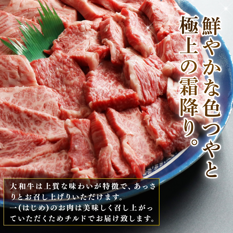 牛肉 和牛 ブランド牛 大和牛 焼肉セット 大和牛専門店 一 H-45