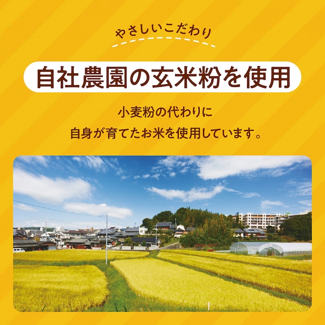 定期グルテンフリー バターチキンカレー 180g×2袋毎月×10回コース 奈良おおの農園 奈良県 奈良市 なら N-11