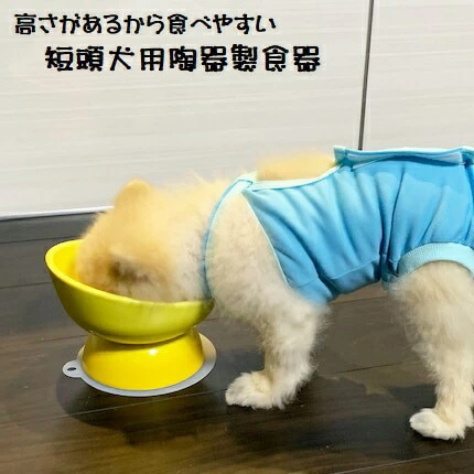 ペット用食器 『 短頭犬用食器 アイボリー ホワイト 』 (スケーター株式会社) フードボウル 犬用食器 ペット用 犬 食器 餌 餌入れ えさ入れ ペットフード入れ 小型犬 マット付 白 536137 奈良県 奈良市 なら 10-092