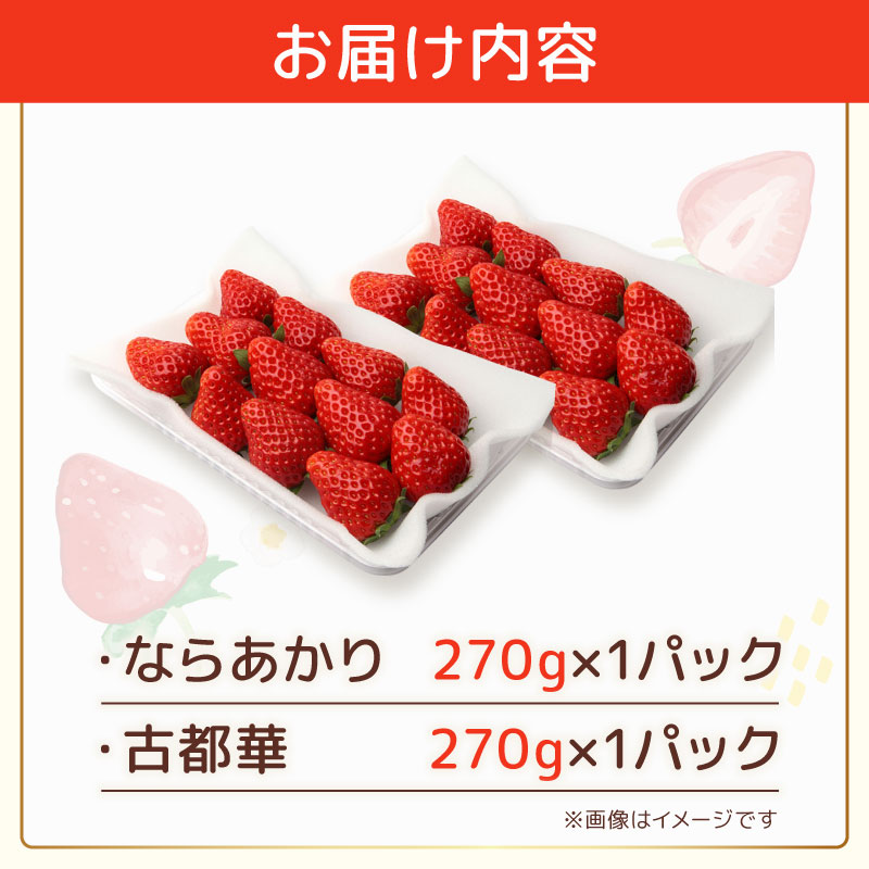 いちご ならあかり 古都華 セット 2027年 発送（270g×2パック）予約受付中 数量限定 早期終了 予定あり 家庭用 イチゴ 先行予約 苺 奈良ブランド苺 ブランド 古都華 大粒 苺 旬 産地 直送 フレッシュ 新鮮 フルーツ 果物 くだもの 萩原いちご農園 奈良県 奈良市