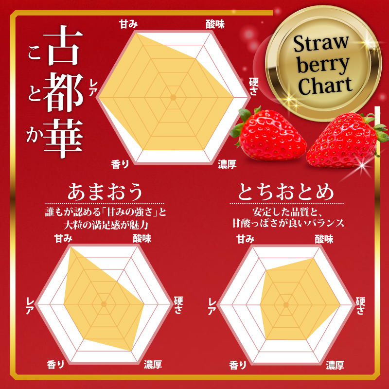いちご ことか 270g×2パック 大粒 古都華 数量限定 冷蔵 イチゴ 苺 フルーツ 果物 小分け ブランドいちご 甘い おすすめ 贈答 プレゼント ギフト 奈良県 奈良市 いちご農家だるま