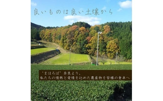 新米 まほの極み コシヒカリ/ヒノヒカリ（スタンダード） 精米2kg 3袋セット 11月以降発送 H-134