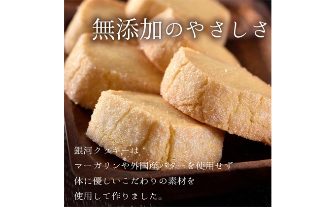 クッキー缶 銀河 クッキー ネコとリス缶 無添加 バタークッキー チョコクッキー