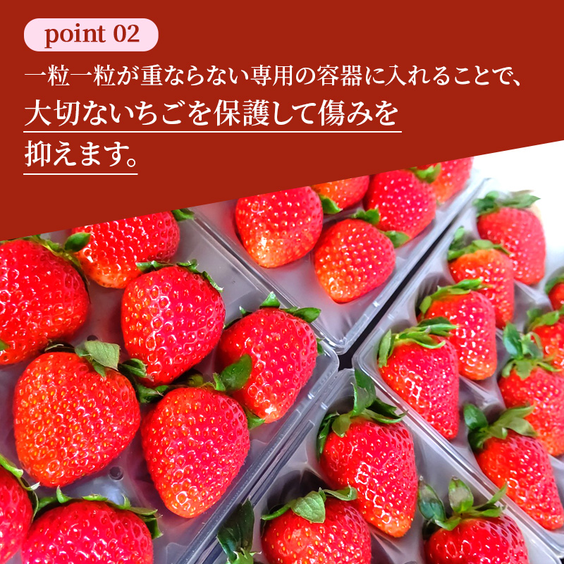 佃農園のこだわり【いちご】3品種食べ比べセット（4パック）