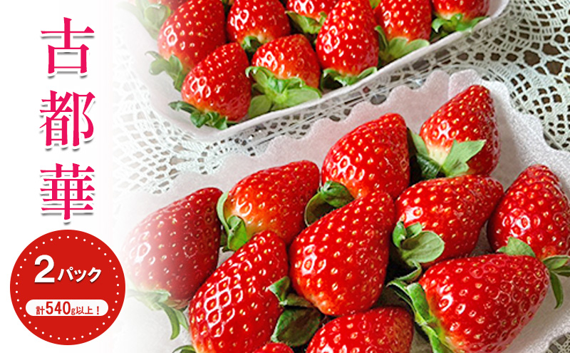 【先行予約】【2026年1月中旬出荷開始】いちご 古都華 約270g × 2パック フルーツ 果物 旬 産地直送 旬のフルーツ 旬の果物 お取り寄せ おやつ デザート 希少 ことか 苺 冷蔵 冷蔵配送 奈良 奈良県 BN001