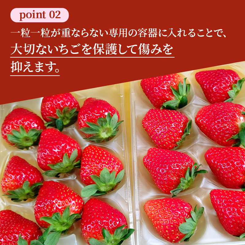 いちご 完熟 奈乃華 約1,080g(270g× 4パック ) 佃農園のこだわり フルーツ 果物 旬 産地直送 旬のフルーツ 旬の果物 お取り寄せ デザート イチゴ 苺 なのか 冷蔵 奈良 奈良県 大和郡山市 BN001