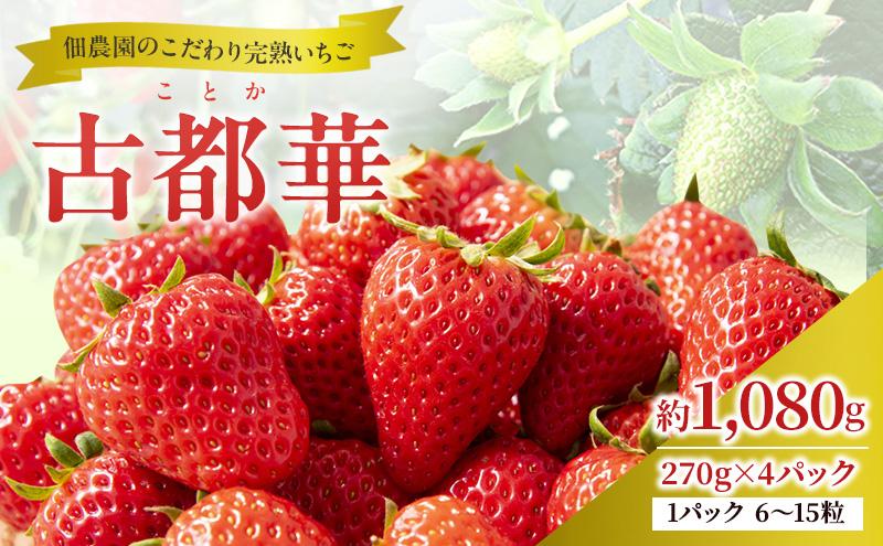 先行予約 【いちご 完熟 古都華 約1080g(270g× 4パック ) 佃農園のこだわり 高評価 フルーツ 果物 旬 産地直送 デザート ことか イチゴ 苺 冷蔵 冷蔵配送 奈良 奈良県 大和郡山市 BN001