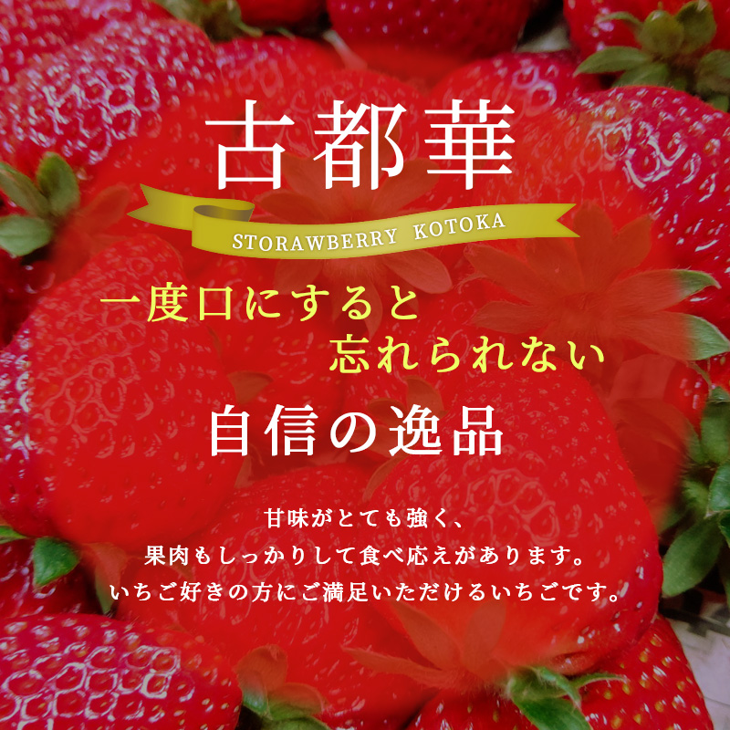 佃農園のこだわり完熟 古都華 【いちご】4パック