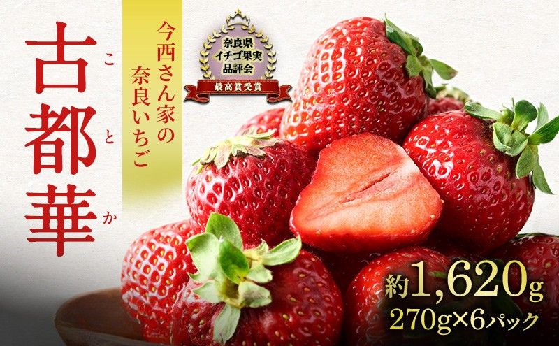 【先行予約】今西さん家の奈良いちご古都華 × 6パック いちご 苺 イチゴ ブランド 古都華 フルーツ 果物 国産 贈答用 プレゼント ギフト 大和郡山市 奈良 BN001