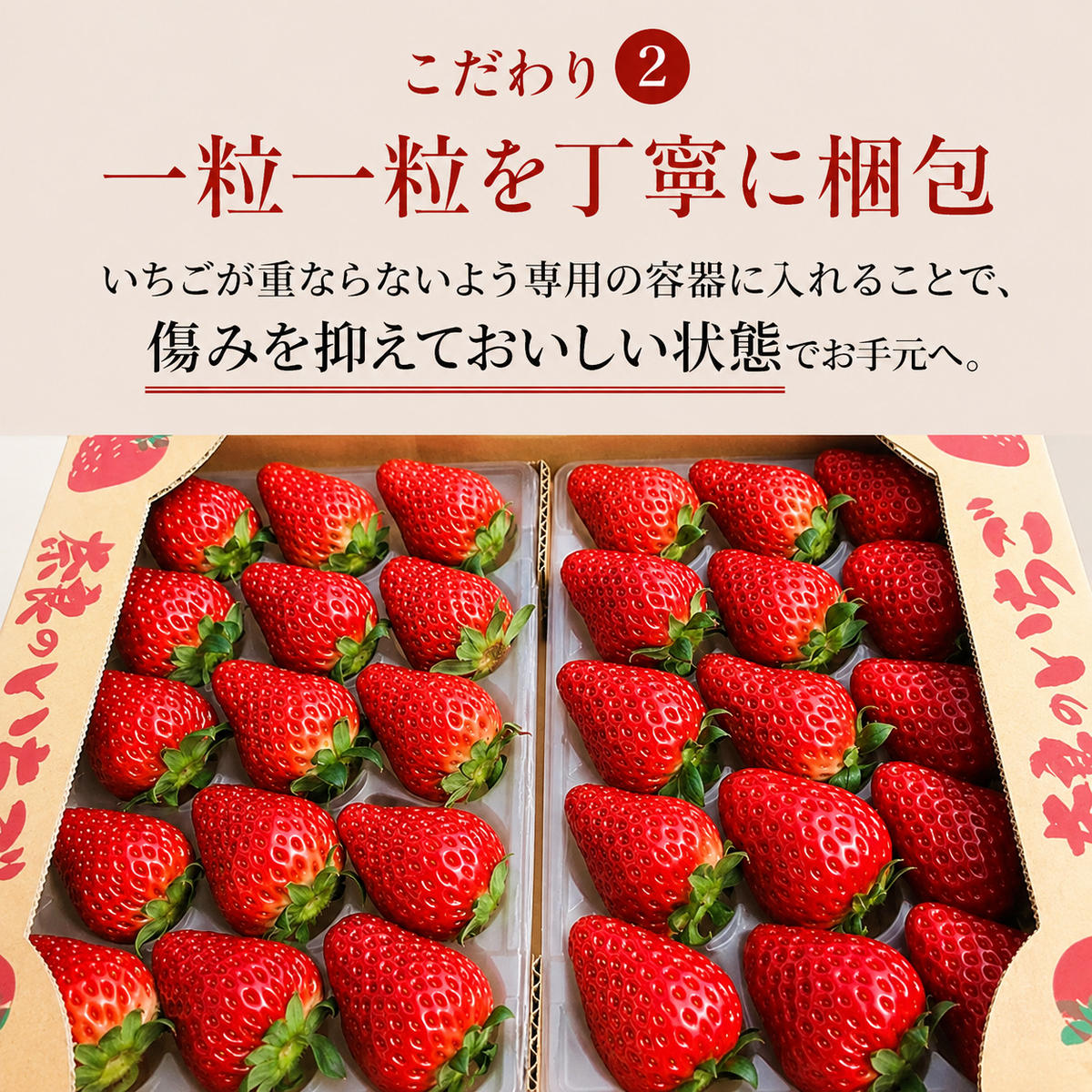 先行予約 いちご 奈良県産 古都華 約1620g 270g×6パック 今西さん家の奈良いちご 冷蔵配送 ことか フルーツ 果物 旬 糖度 産地直送 農家直送 お取り寄せ おやつ デザート 苺 冷蔵  奈良 大和郡山市 BN001