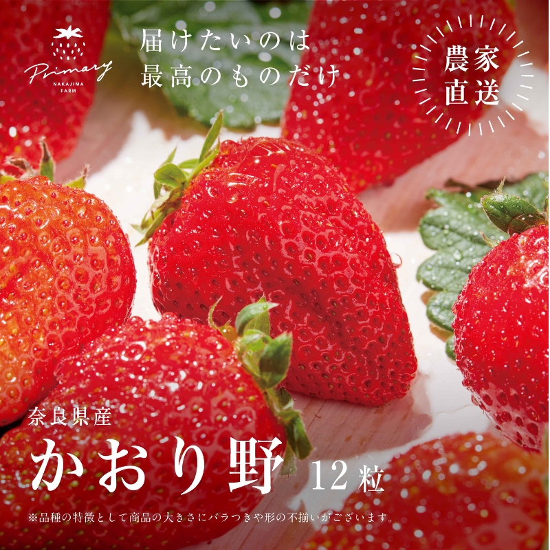 いちご 風味豊かないちご かおり野 1箱(9粒～12粒) 苺 イチゴ くだもの 果物 フルーツ 甘い 大和郡山市 奈良県