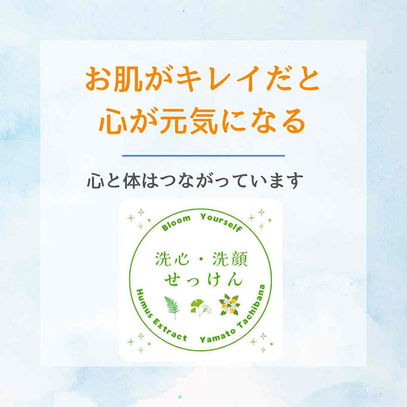 洗心・洗顔せっけん 石けん 固形石けん 洗顔石けん 石鹼