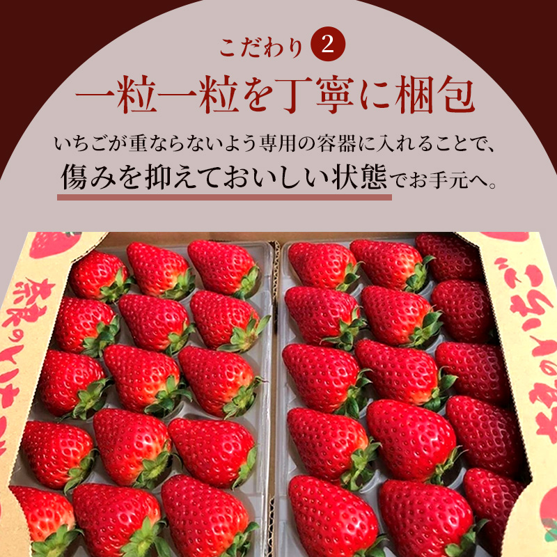 定期便 2回 いちご 奈良県産 古都華 約1620g 270g×6パック 今西さん家の奈良いちご ことか 冷蔵配送 BN001