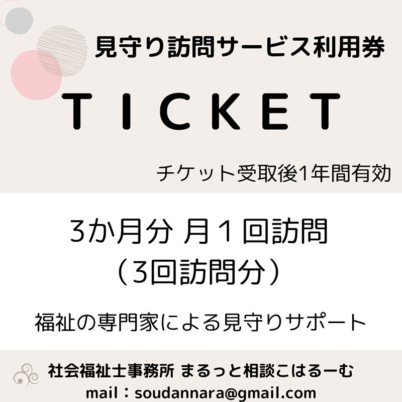 【親孝行は、ふるさと納税で】　ふるさとへ贈る安心　社会福祉士による見守り訪問サービスチケット　見守り 訪問 サービス 3か月分 月1回 報告 安心 福祉 支援 サポート 代行 親孝行　社会福祉士 0005
