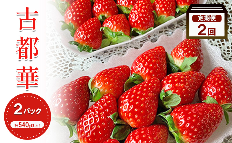 【2026年1月中旬出荷開始】【2回定期】いちご 古都華 約270g × 2パック フルーツ 果物 旬 産地直送 旬のフルーツ 旬の果物 お取り寄せ おやつ デザート 希少 ことか 苺 冷蔵 冷蔵配送 奈良 奈良県