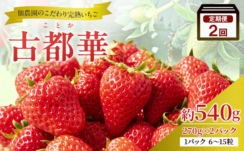 【2回定期便】いちご 完熟 古都華 約540g(270g×2パック ) 奈良 ブランド イチゴ フルーツ ことか BN001