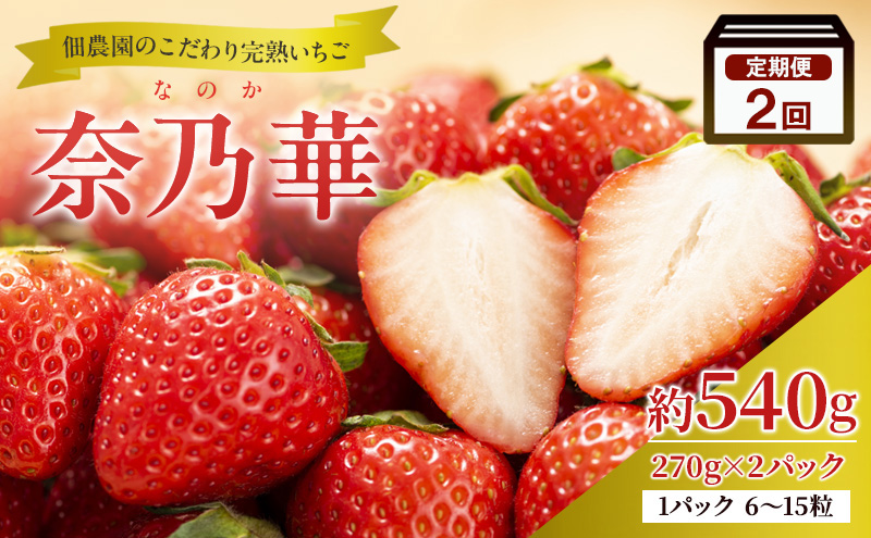 【2回定期便】いちご 完熟 奈乃華 約540g 2026年1月出荷開始 先行予約 奈良 ブランド イチゴ フルーツ