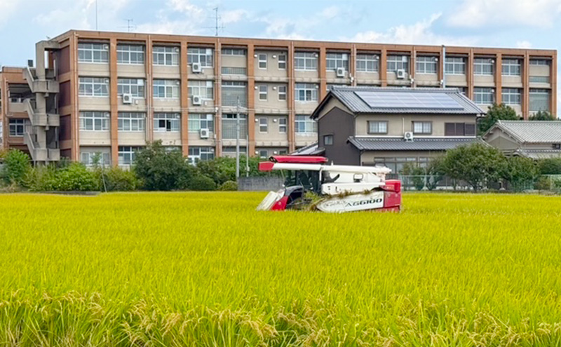 奈良県産ひのひかり 精米 10kg　お米 白米 ごはん ヒノヒカリ 奈良県 大和郡山市