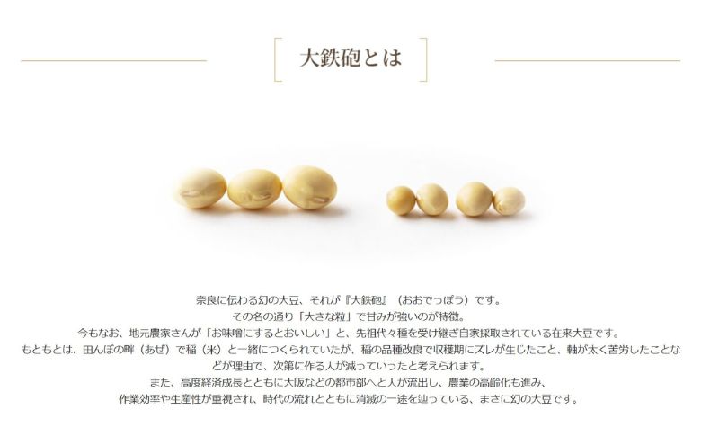 大鉄砲豆乳 石鹸　100g 豆腐屋が作る石鹸　せっけん