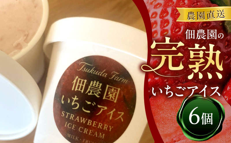 農園直送　佃農園の完熟いちごアイス 6個　アイス アイスクリーム いちご イチゴ 苺 完熟 スイーツ おやつ デザート 冷菓 奈良県 大和郡山市
