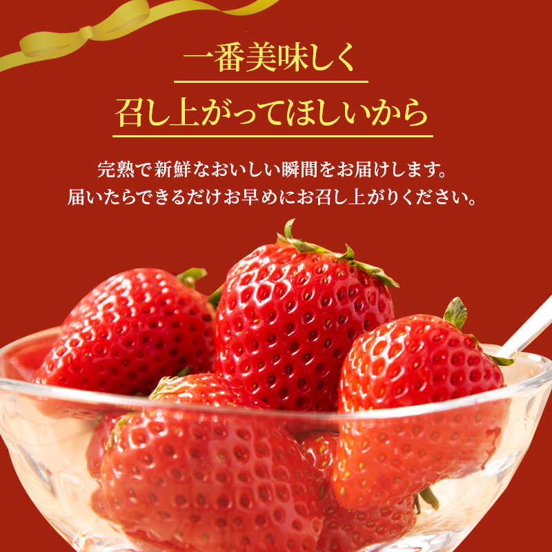 先行予約 【3回定期】毎月違う品種をお届け！奈良 いちご あすかルビー 古都華 奈乃華 ブランド イチゴ フルーツ ことか なのか 定期便　250g×2パック 3回 奈良県 大和郡山市