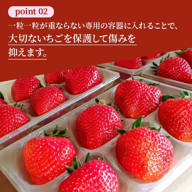 先行予約 いちご 完熟 あすかルビー 約250g(250g×1パック ) 佃農園のこだわり フルーツ 果物 旬 産地直送 旬のフルーツ 旬の果物 お取り寄せ デザート イチゴ 苺 冷蔵 奈良 奈良県 大和郡山市 BN001