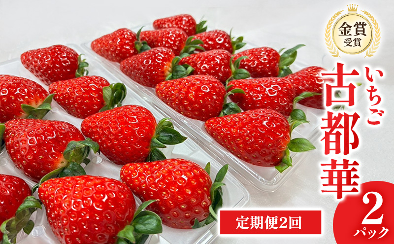 【先行予約】いちご 定期便 2回　古都華　2パック 金賞受賞 フルーツ 果物 旬 産地直送 デザート ことか イチゴ 苺 冷蔵 奈良 大和郡山　北村農園