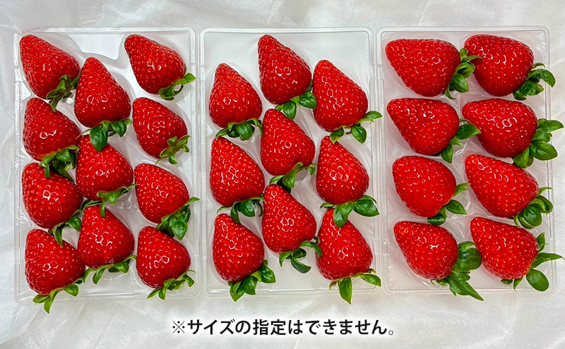 【先行予約】いちご 定期便 3回　古都華　2パック 金賞受賞 フルーツ 果物 旬 産地直送 デザート ことか イチゴ 苺 冷蔵 奈良 大和郡山　北村農園
