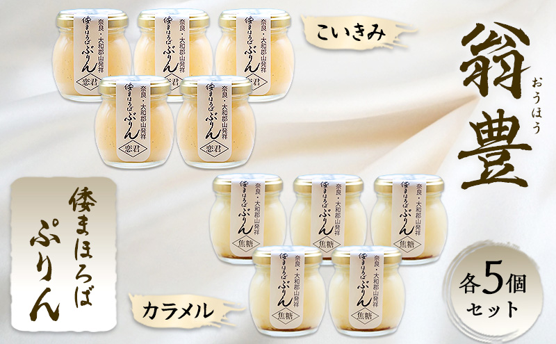 プリン 詰め合わせ 大和まほろば翁豊ぷりん 10個入り こいきみ カラメル 各5個セット 奈良県 大和郡山市 スイーツ お取り寄せ ギフト 贈り物 洋菓子 プレゼント お祝い デザート ぷりん
