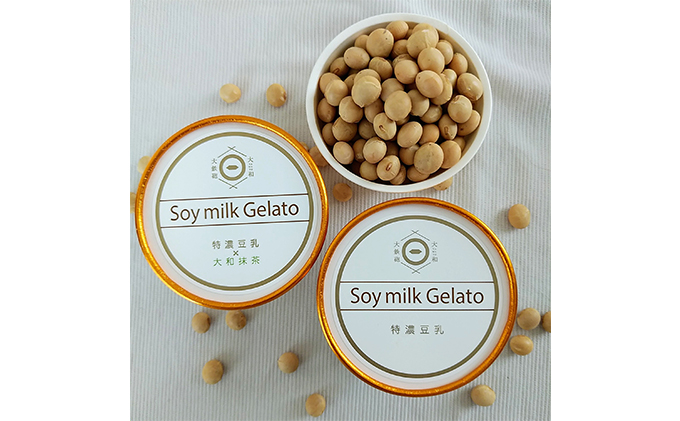 ジェラート 大和大鉄砲大豆 豆乳ジェラート 2種類 計6個 プレーン 抹茶 食べ比べ 植物性100％ 大豆 豆乳 特濃豆乳 アイス アイスクリーム スイーツ おやつ 抹茶スイーツ 抹茶アイス アレルギー ヴィーガン ビーガン 冷凍 冷凍配送 奈良 奈良県