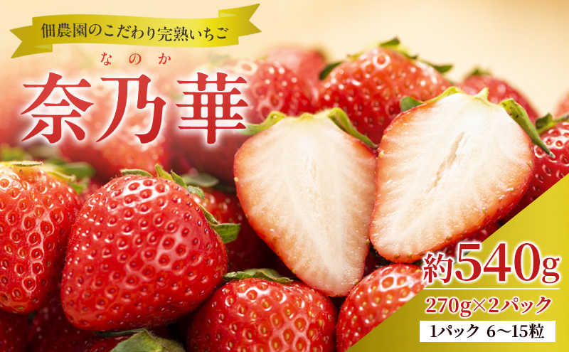 先行予約 【いちご 完熟 奈乃華 約540g(270g× 2パック ) 佃農園のこだわり フルーツ 果物 旬 産地直送 旬のフルーツ 旬の果物 お取り寄せ デザート イチゴ 苺 なのか 冷蔵 奈良 奈良県 大和郡山市 BN001