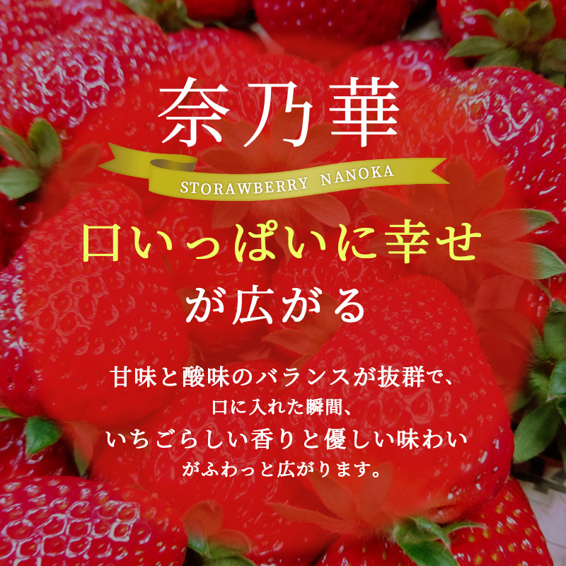 先行予約 【いちご 完熟 奈乃華 約540g(270g× 2パック ) 佃農園のこだわり フルーツ 果物 旬 産地直送 旬のフルーツ 旬の果物 お取り寄せ デザート イチゴ 苺 なのか 冷蔵 奈良 奈良県 大和郡山市 BN001