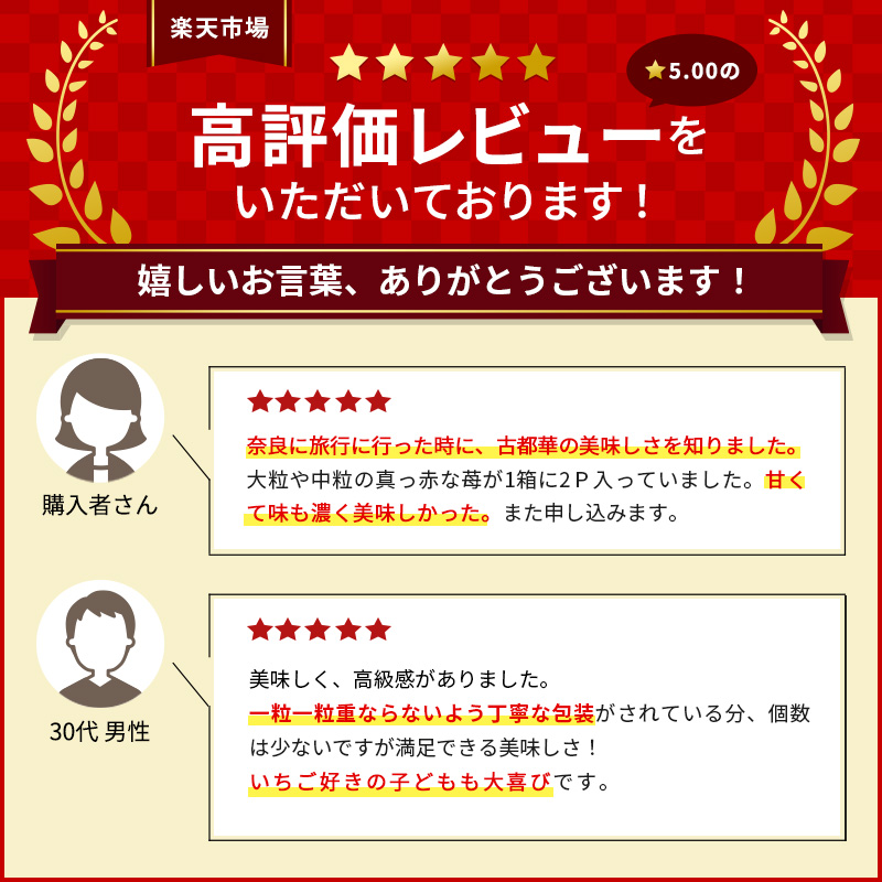 いちご 完熟 古都華 約540g(270g× 2パック ) 佃農園のこだわり 高評価 フルーツ 果物 旬 産地直送 旬の果物 おやつ デザート ことか イチゴ 冷蔵 冷蔵配送 奈良県 大和郡山市 BN001