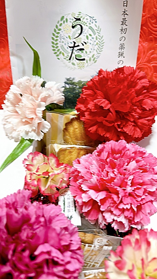 大和当帰 焼菓子 セット 小／エクステ フィナンシェ クッキー お茶 プレゼント お土産 お取り寄せ 奈良県 宇陀市