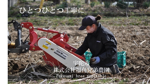 紫菊芋パウダー　100ｇ入　2袋　約40日分／菊芋　紫　薬草　腸活　水溶性食物繊維　イヌリン　朝食前　水　コーヒー　ヨーグルト　奈良県　宇陀市