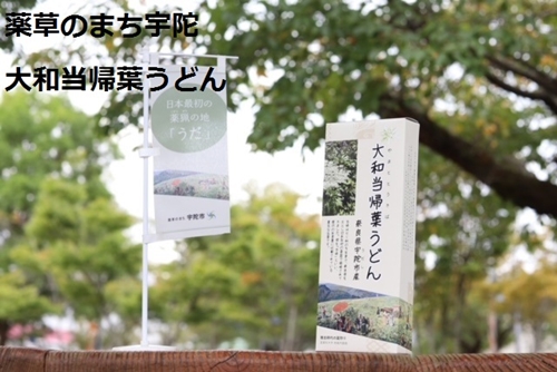 薬草のまち宇陀 大和当帰葉うどん 10個／薬草 大和当帰葉 うどん ２食分 10個 奈良県 宇陀市