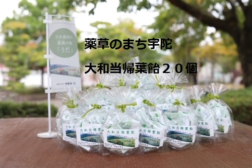 薬草のまち宇陀 大和当帰葉飴 20個／飴 個包装 20個 奈良県 宇陀市