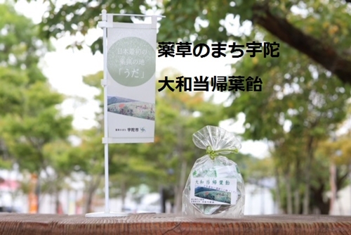 薬草のまち宇陀 大和当帰葉飴 20個／飴 個包装 20個 奈良県 宇陀市