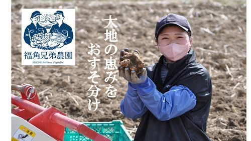 紫菊芋パウダー【約2カ月分】【150g×2袋】【300グラム】／ 菊芋 粉末 パウダー 紫 薬草 腸活 水溶性食物繊維 イヌリン 朝食前 水 コーヒー ヨーグルト 奈良県 宇陀市 福角兄弟農園