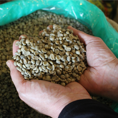 YAMATO HERB COFFEE 200g 真空 中挽 カフェイン有／松田商店 ふるさと納税 コーヒー ブレンド 伝統 ハーブ 大和 当帰葉 有機 奈良県 宇陀市