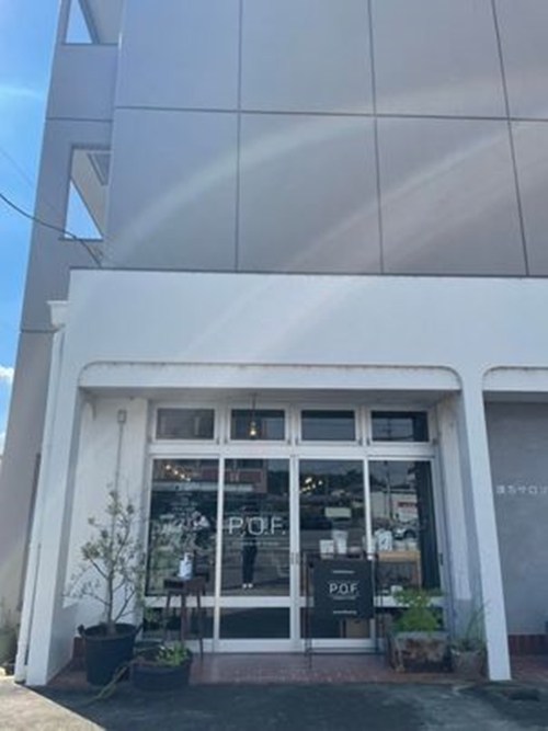 ã¡ã«ãªãã·ããã 倧ååœåž°Ãçå§ 800ml 3æ¬ ã»ããïŒPOWER OF FOOD ãµãããšçŽçš 倧ååœåž°è ææ© å¥è¯ç å®éåž