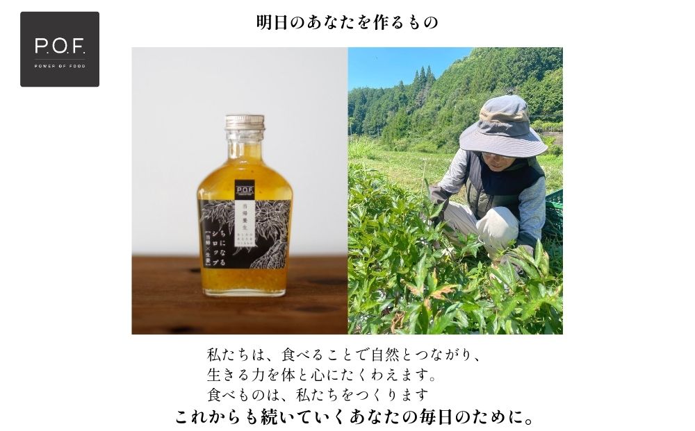 ちになるシロップ 大和当帰×生姜 150ml 1本／POWER OF FOOD ふるさと納税 大和当帰葉 有機 奈良県 宇陀市