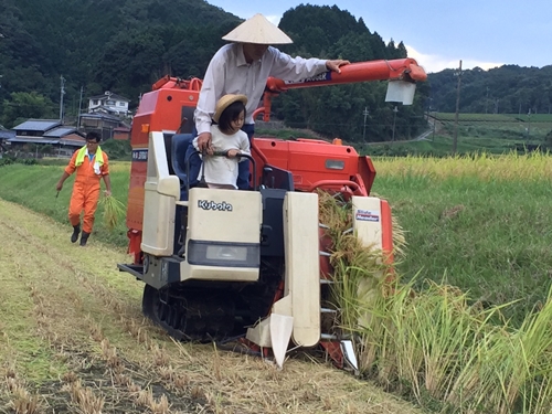 ★10/頭〜発送開始★食味値80点以上　お米　精米　にじのきらめき　３ｋｇ／民ちゃん農園 ふるさと納税 有機肥料 ハイグレード 極上 おいしい ミネラル 米 こめ お米 お取り寄せ 美味しい ブランド オススメ 送料無料 奈良県 宇陀市 大和高原