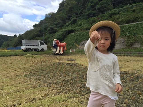 ★10/頭〜発送開始★食味値80点以上　お米　精米　にじのきらめき　３ｋｇ／民ちゃん農園 ふるさと納税 有機肥料 ハイグレード 極上 おいしい ミネラル 米 こめ お米 お取り寄せ 美味しい ブランド オススメ 送料無料 奈良県 宇陀市 大和高原