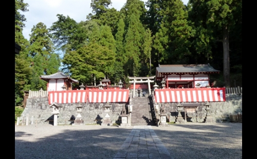 神饌タケノコ 500ｇ入り×3【2026年5月発送分】